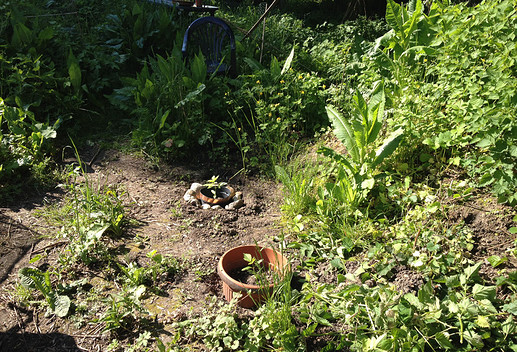Growreport Bild 14