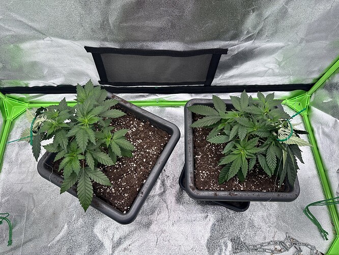 Growreport Bild 27