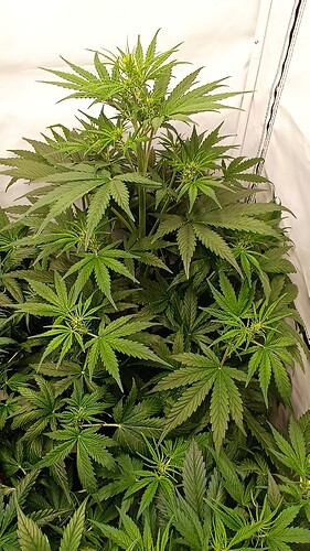 IMG_20221220_162836