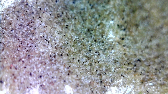 WIN_20200825_20_18_59_Pro