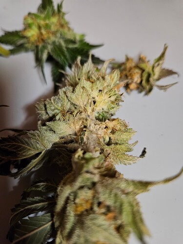 Growreport Bild 12