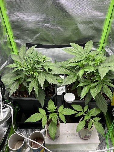 Growreport Bild 9
