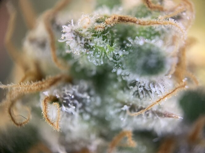 Growreport Bild 15