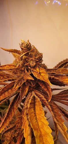 Growreport Bild 17