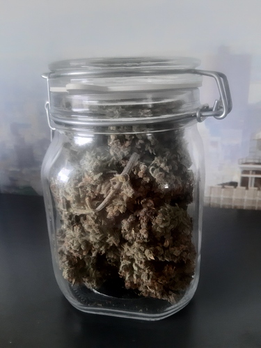 Growreport Bild 7