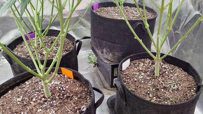 Growreport Bild 10