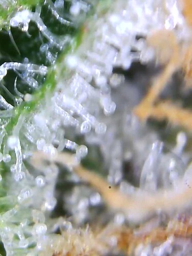 Growreport Bild 12