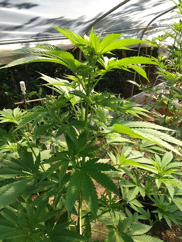 070_SiebterSiebter_12