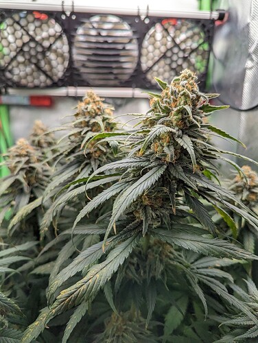 Growreport Bild 21