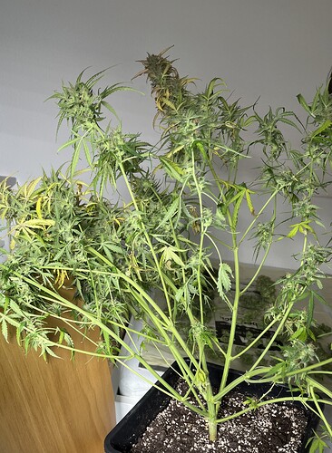 Growreport Bild 12