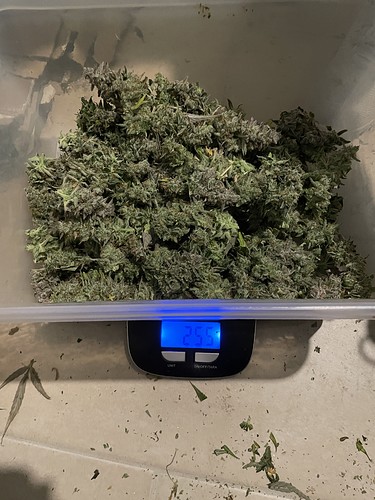 Growreport Bild 13