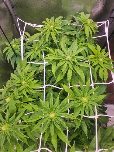 Growreport Bild 12