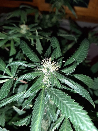 Growreport Bild 23