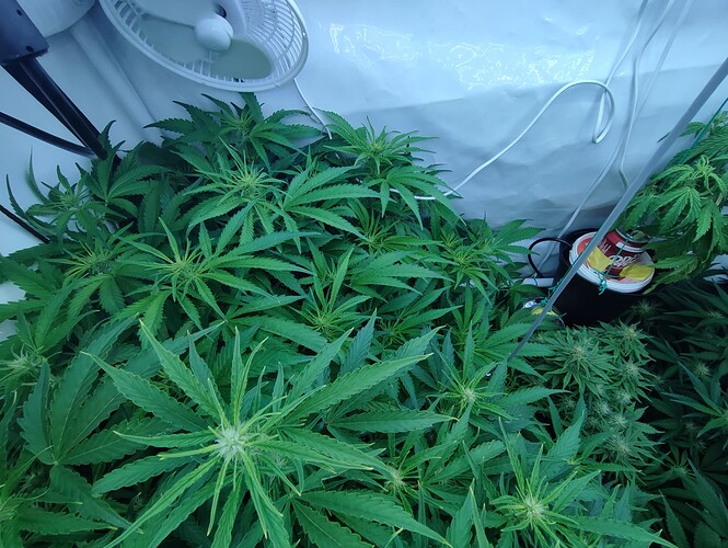 Growreport Bild 2