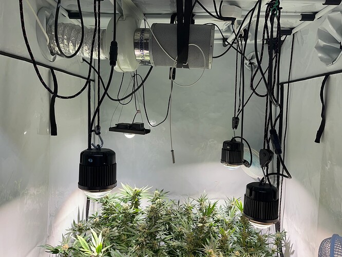 Growreport Bild 5