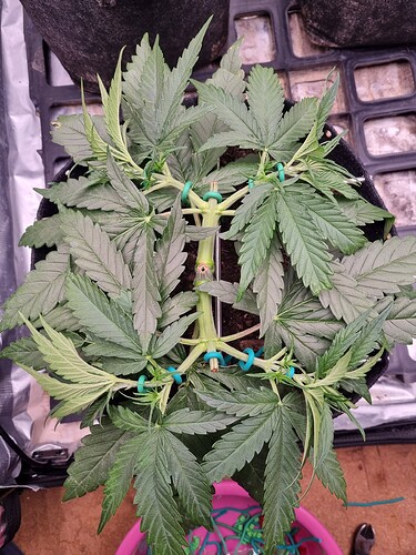 Growreport Bild 7