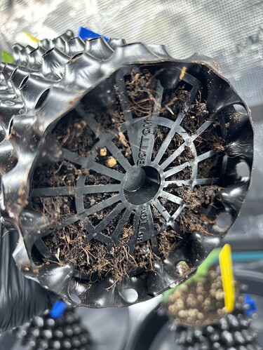 Growreport Bild 73