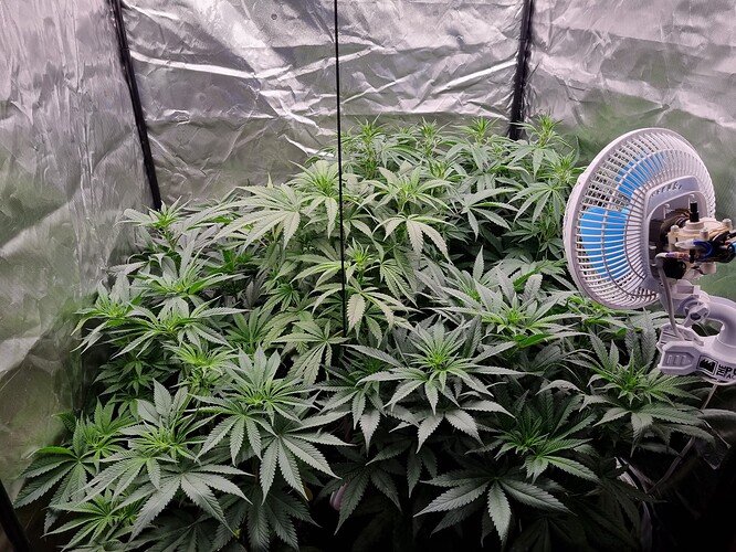 Growreport Bild 19