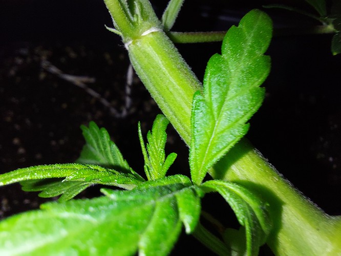 Growreport Bild 11