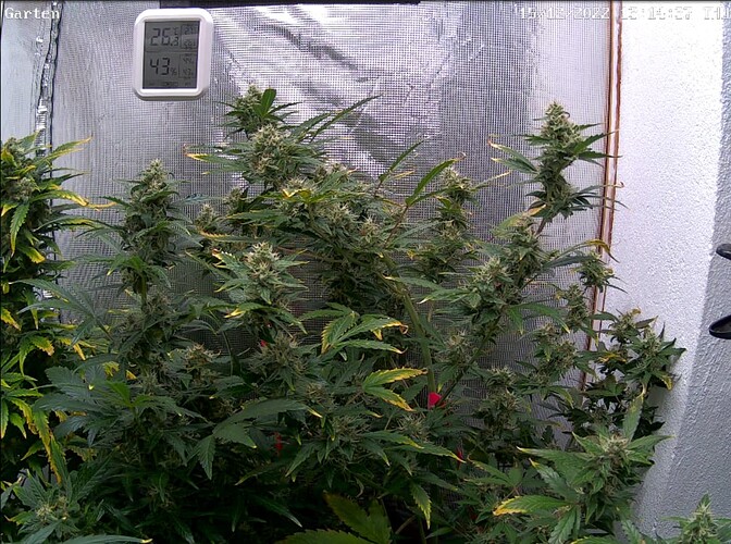 Growreport Bild 22