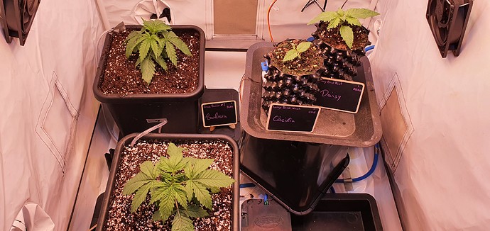 Growreport Bild 13