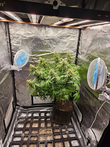 Growreport Bild 18