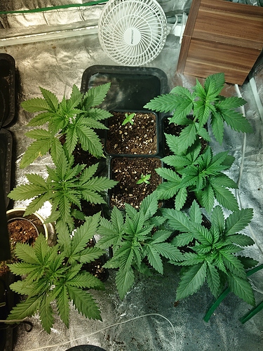 Growreport Bild 22
