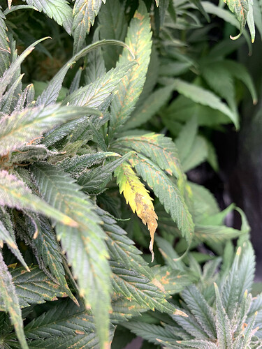 Growreport Bild 19