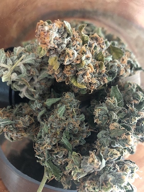 Growreport Bild 55
