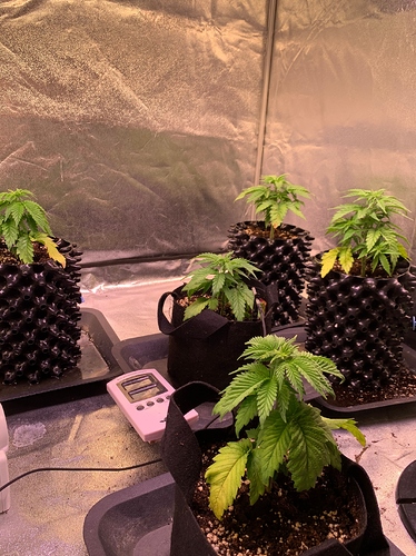 Growreport Bild 2