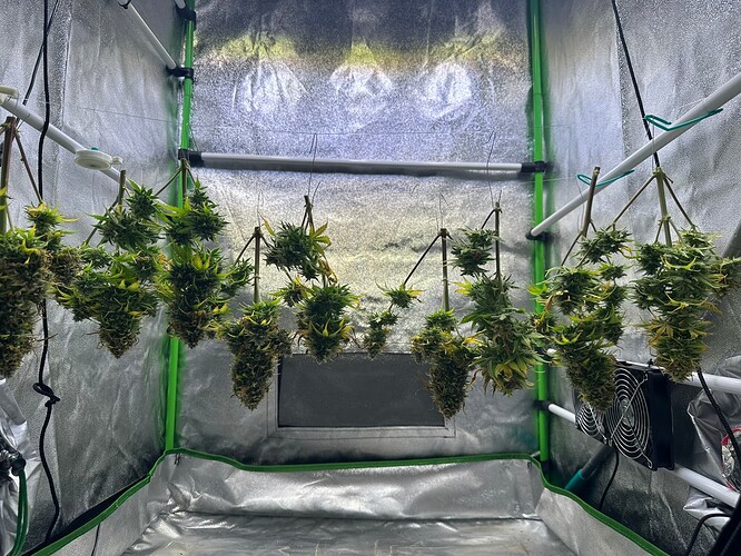 Growreport Bild 32