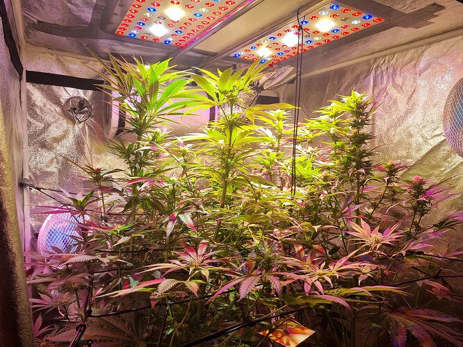 Growreport Bild 15