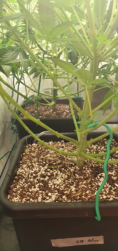 Growreport Bild 4