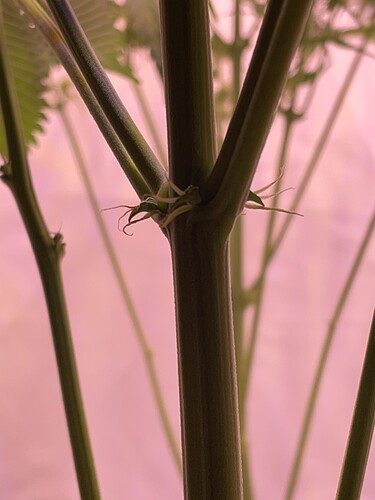 Growreport Bild 5