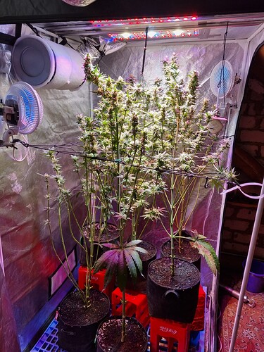 Growreport Bild 25