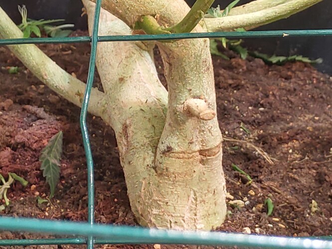 Growreport Bild 14