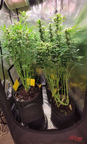 Growreport Bild 8