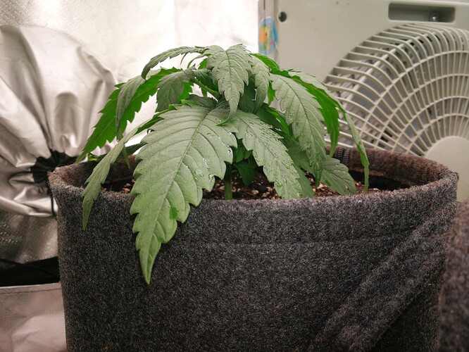Growreport Bild 12