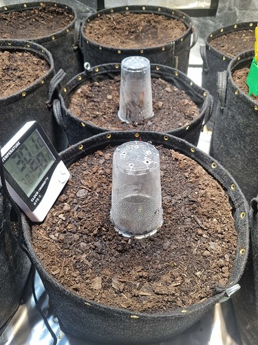 Growreport Bild 18