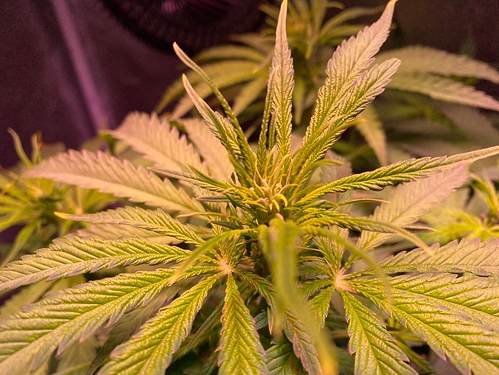 Growreport Bild 21