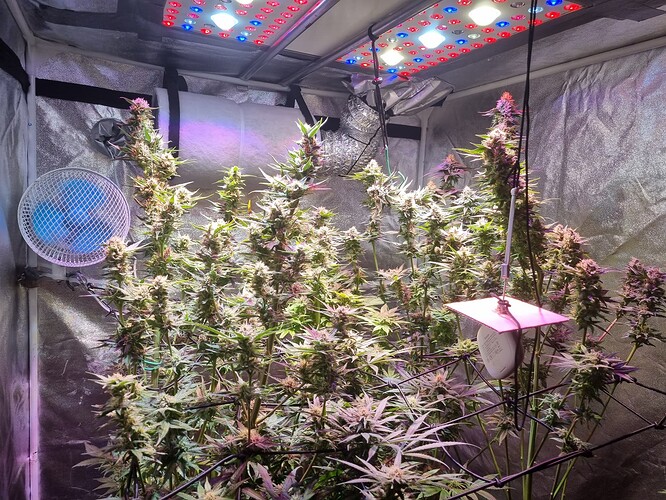 Growreport Bild 48