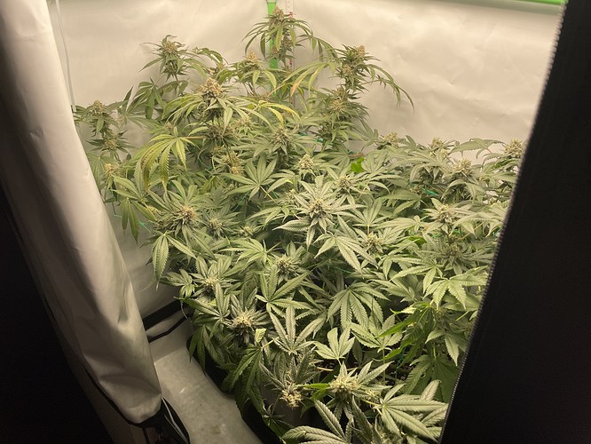 Growreport Bild 11