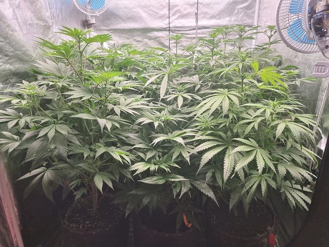 Growreport Bild 14