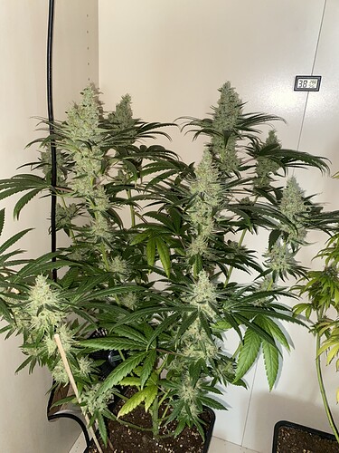 Growreport Bild 14