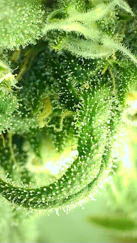 2022_04_01_15_07_48_345