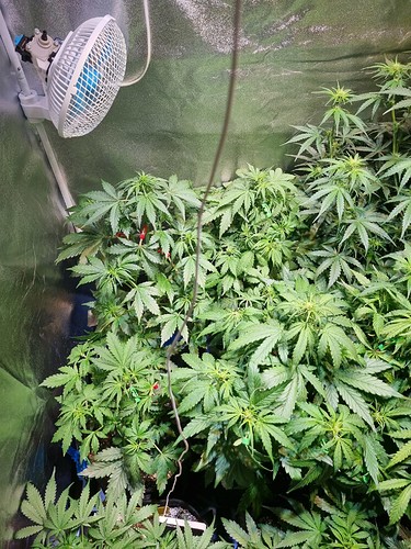 Growreport Bild 21