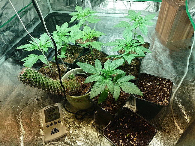 Growreport Bild 18