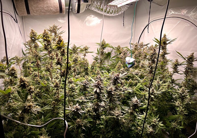 Growreport Bild 16
