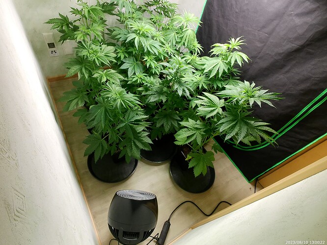 Growreport Bild 25