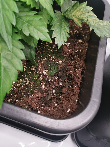 Growreport Bild 22